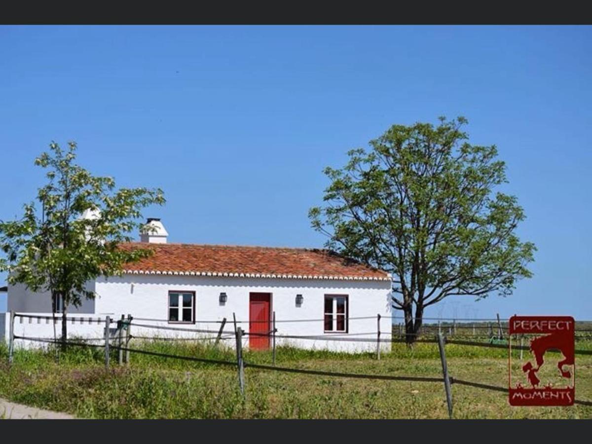 Monte Da Boavista - Country Family House Villa Alter do Chão Kültér fotó