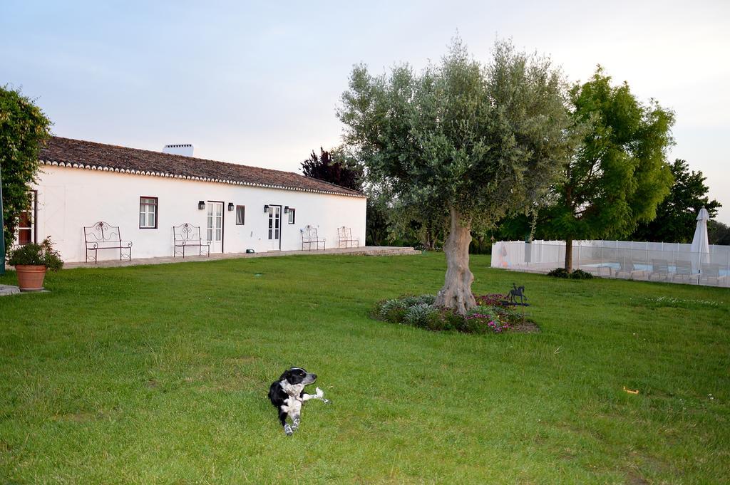 Monte Da Boavista - Country Family House Villa Alter do Chão Kültér fotó
