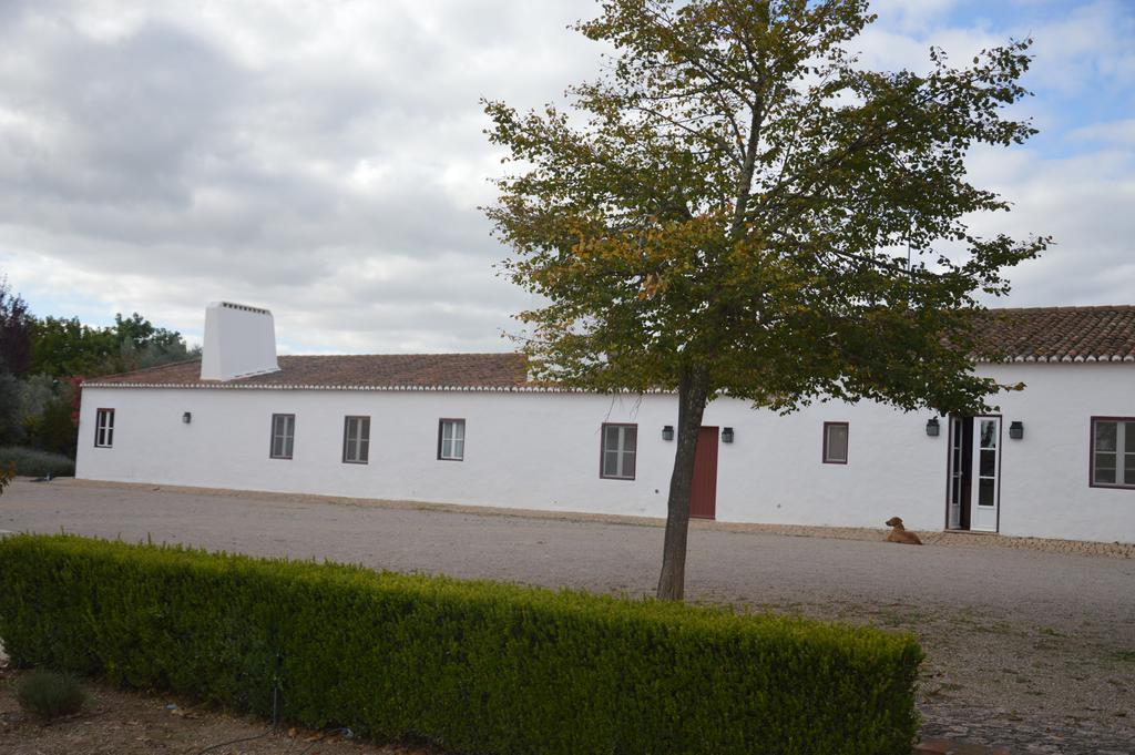 Monte Da Boavista - Country Family House Villa Alter do Chão Kültér fotó